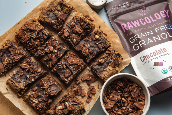 Chickpea Chocolate Blondies – Rawcology Inc