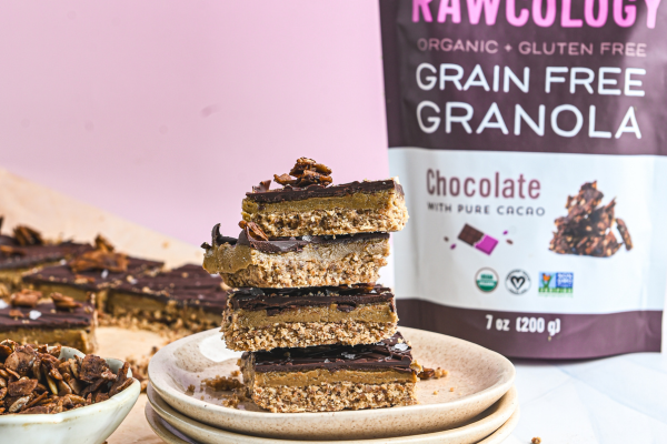 Chocolate Sunflower-Butter Bars – Rawcology Inc