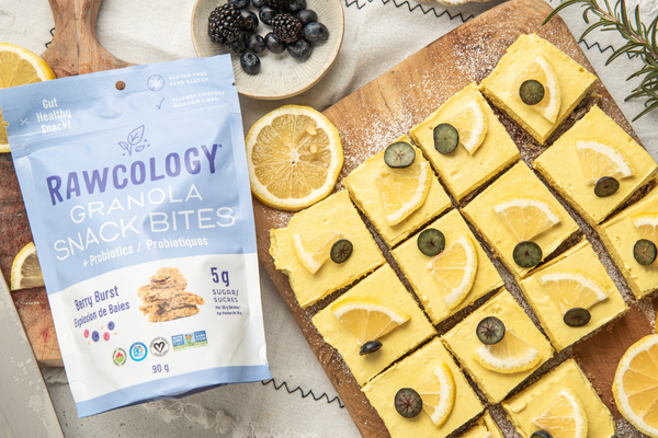 Lemon Protein Cheesecake Bars – Rawcology Inc