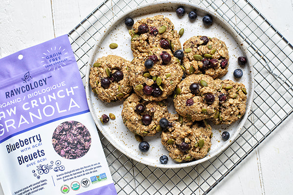 Brain Boosting Blueberry Granola Breakfast Cookies – Rawcology Inc