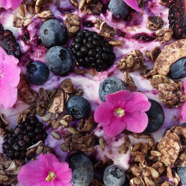 Blueberry Swirl Freezer Bark
