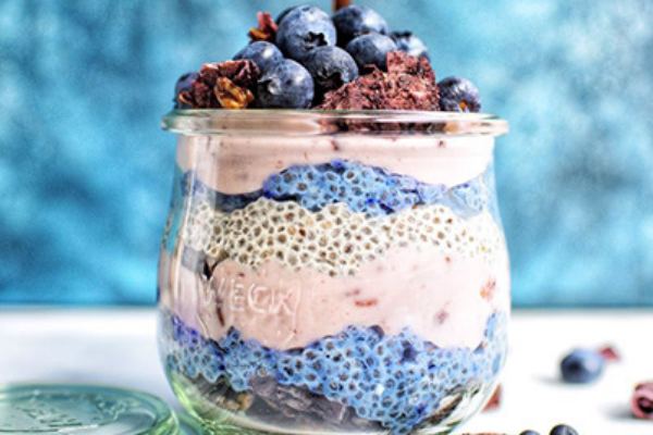 Dairy Free Plant Based Protein Blueberry Chia Pudding Parfait – Rawcology Inc