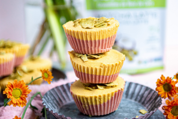 Low Sugar Sunshine Freezer Fudge