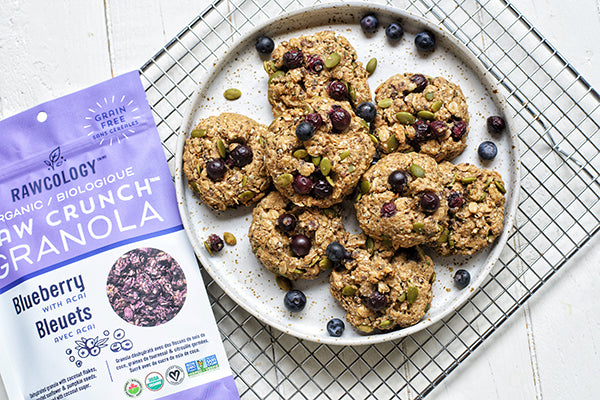 Rawcology Inc | Blueberry Breakfast Cookies