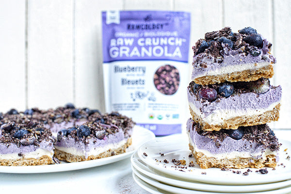Rawcology Inc | Blueberry Cheesecake Bars