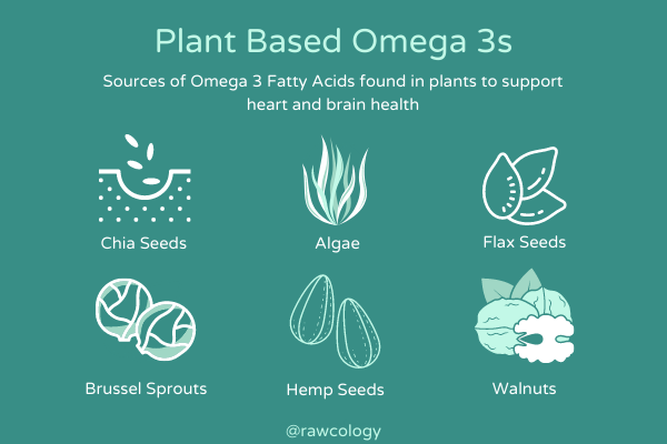 Plant Based Omega 3s
