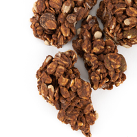 Gut To Go™ Chocolate Probiotic Snack Bites