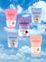 Summer Adventure Bundle