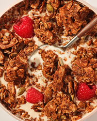 Bulk Chocolate Grain Free Granola