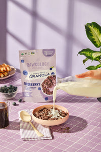 Best Seller Bundle | Organic Grain-Free Granola Variety Pack