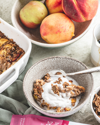 Apple Cinnamon Granola Snack Bites with Probiotics